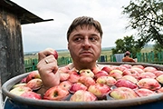 Жуки момент 1